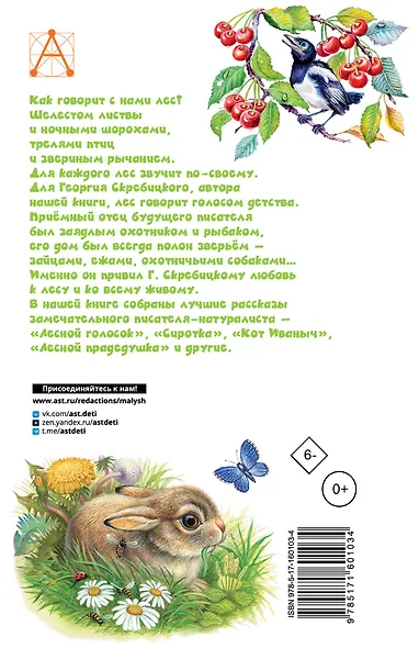Лесной голосок. Рассказы - фото 2