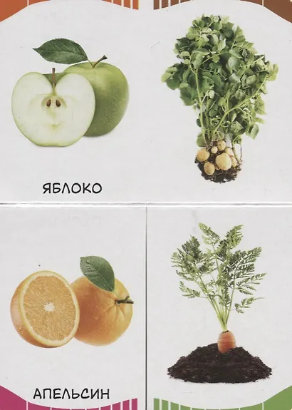 Фрукты, овощи, ягоды - фото 2