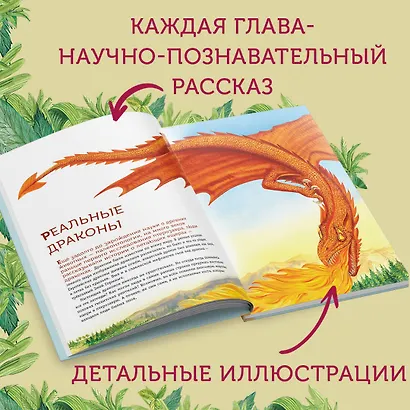 Крылатые, но не динозавры - фото 5