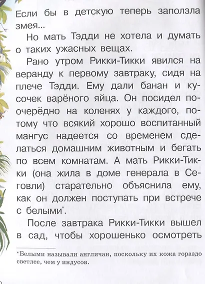 Рикки-Тикки-Тави - фото 4