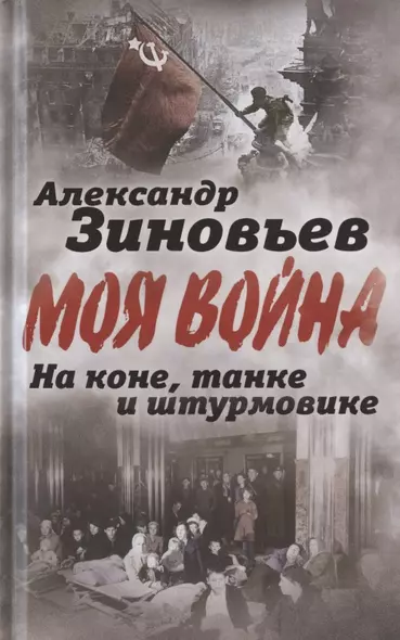 На коне, танке и штурмовике. Записки воина-философа - фото 1