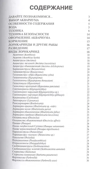 Лорикариевые сомы. (цвет) - фото 2