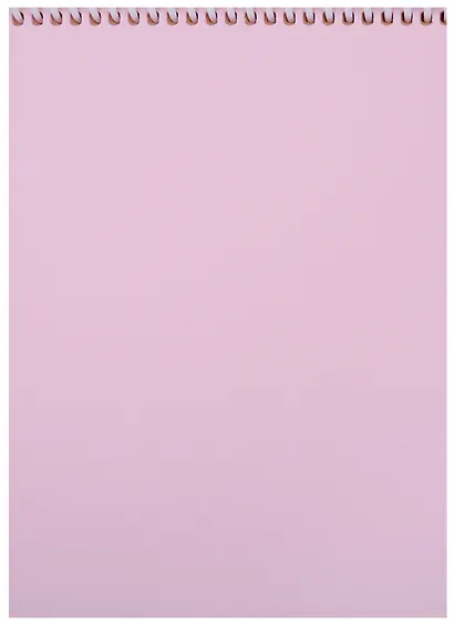 Блокнот А5 160л нелин. "Удивительные девушки" трехцв.тонир.блок, пласт.спираль, мел.картон, УФ-лак - фото 2