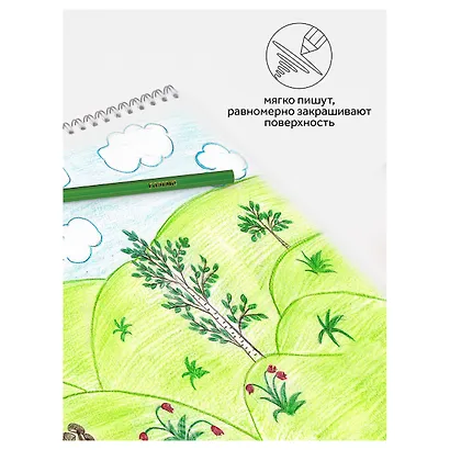 Карандаши цветные 6 цветов "Классические" - фото 6