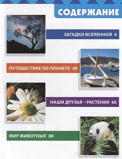 Новая детская энциклопедия.ВСЁ ПРО ВСЁ - фото 2