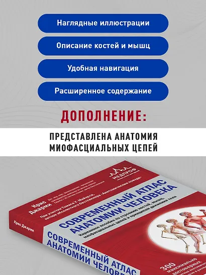 Современный атлас анатомии человека. Карманное пособие по строению костей, мышц, миофасциальных цепей и принципам движения тела - фото 5