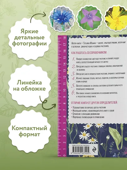 Лечебные травы. Иллюстрированный справочник-определитель - фото 7