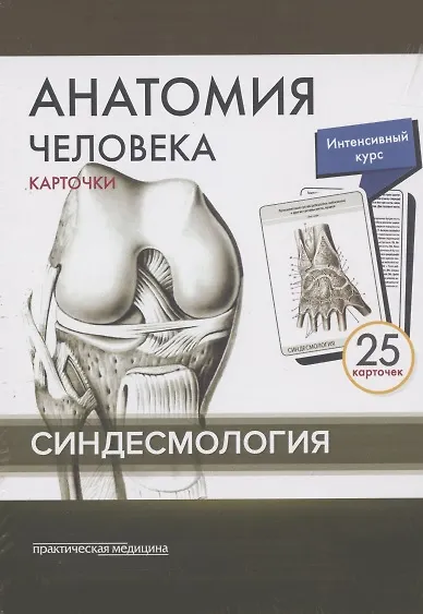 Анатомия человека. Синдесмология (25 карточек) - фото 2