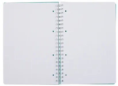 Тетрадь А4 80л кл. "Smart. Зеленый" гребень, цветн.пластик с печатью, перфорация, вырубка под кольца, инд.уп. - фото 2