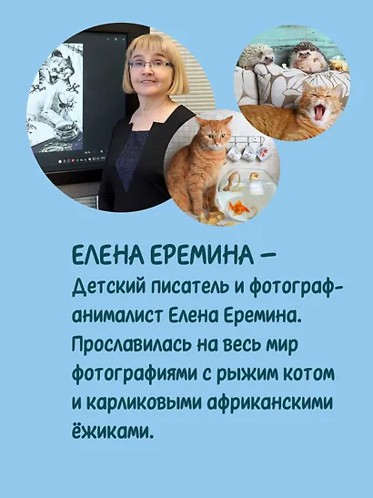 Лето кота Пармезанова - фото 7