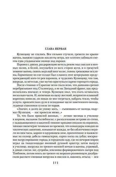 Горячий снег. Батальоны просят огня - фото 11