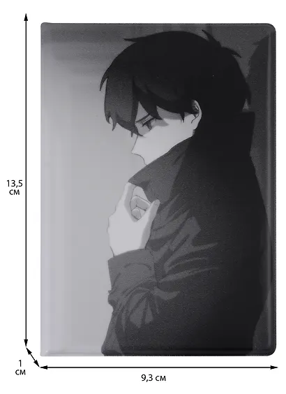 Обложка для паспорта Аниме Синтонимы Персонаж в плаще (ч/б) (Медина Мирай) (ПВХ бокс) (ОП2022-384) - фото 3