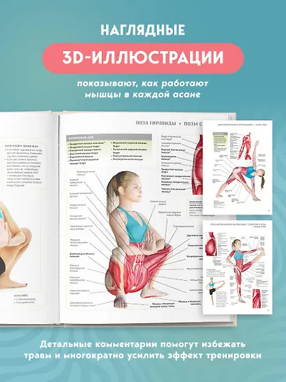 Анатомия йоги. 50 главных асан с анатомическими иллюстрациями, для начинающих и продвинутых - фото 5