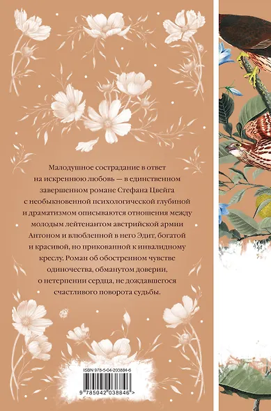 Нетерпение сердца - фото 2