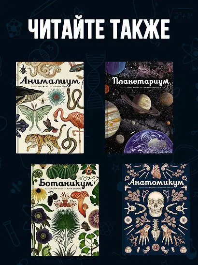 Океанариум - фото 7