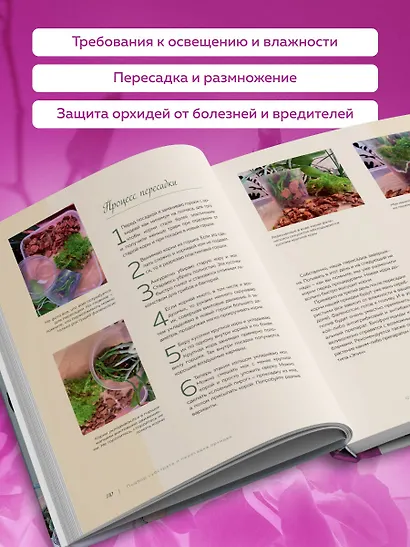 Великолепные орхидеи. Практичное руководство по уходу для начинающих - фото 4