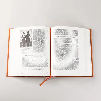 [2 тома] Полка: О главных книгах русской литературы - фото 2