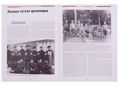 Оружие Великой войны. Артиллерия Российской армии - фото 5