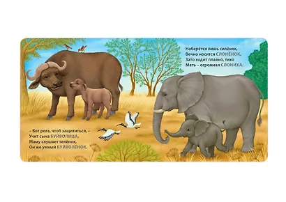 Мамы и малыши. Дикие животные. Загадки - рифмы - фото 5