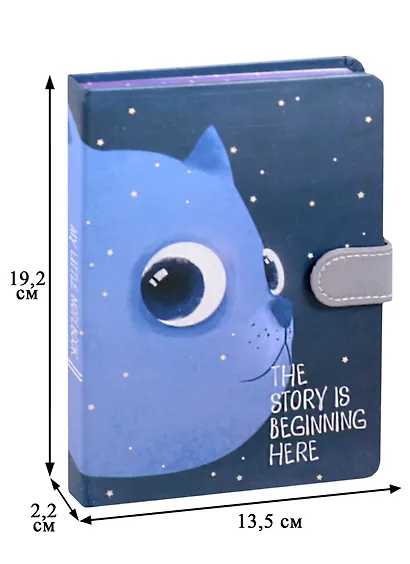 Блокнот с магнитной застежкой "Кот и космос The story is beginning here", 256 страниц, 13 x 19 см - фото 2