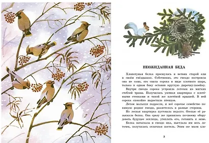 Белочка-хлопотунья - фото 5