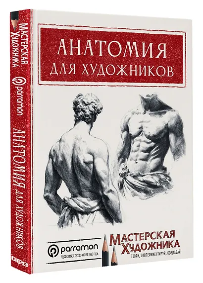 Анатомия для художников - фото 3
