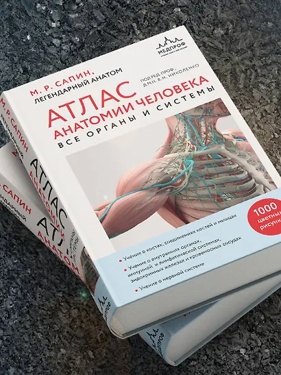Атлас анатомии человека. Все органы и системы - фото 11