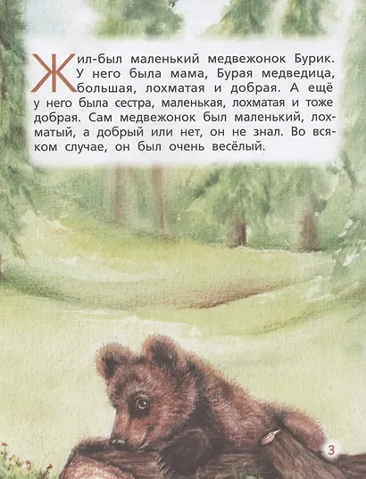 Медвежонок Бурик - фото 3