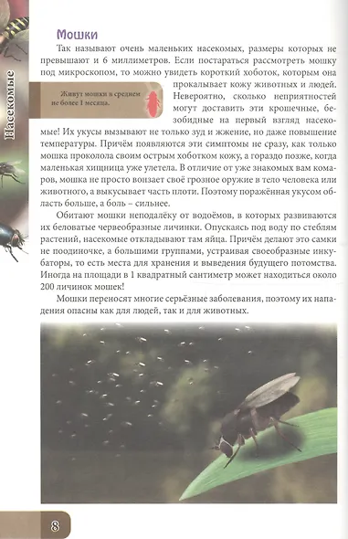 ЭНЦИКЛОПЕДИЯ. В МИРЕ ЗНАНИЙ. УДИВИТЕЛЬНЫЙ МИР НАСЕКОМЫХ - фото 4