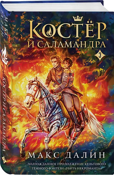 Костер и Саламандра. Книга 3 - фото 3