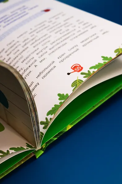 Ася и Вася. Добро пожаловать в Кузнечики! - фото 8