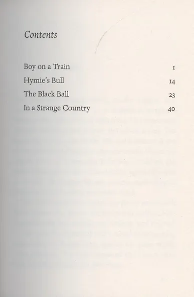 The Black Ball - фото 2