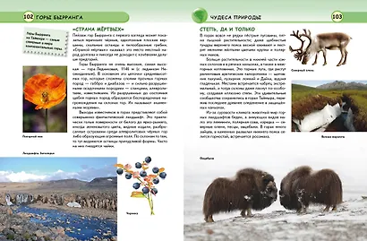 Чудеса света - фото 7