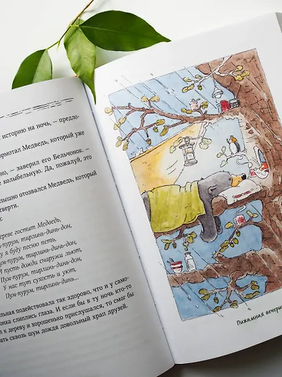 Бельчонок, Медведь и охапка приключений. Повесть - фото 9