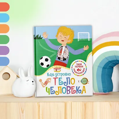 Как устроено тело человека - фото 5