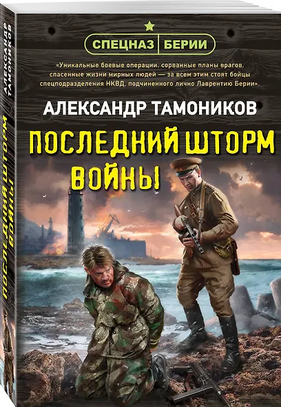 Последний шторм войны - фото 3