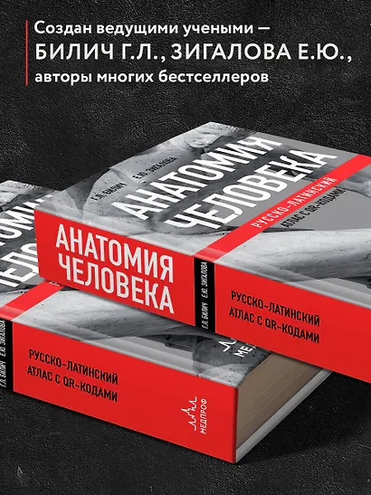 Анатомия человека: Русско-латинский атлас с QR-кодами на цветные изображения - фото 5