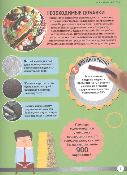 Как устроено твое тело. Энциклопедия - фото 3