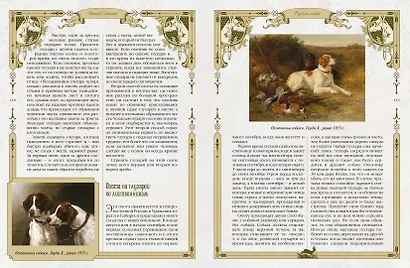 Русская охота - фото 11