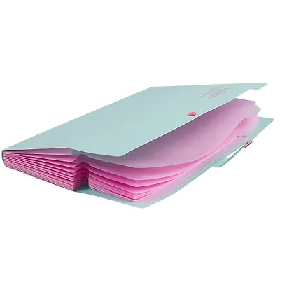 Папка на кнопке А4 12отд., ассорти - фото 2