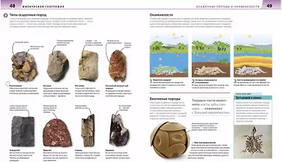 Как объяснить ребенку географию. Иллюстрированный справочник для родителей - фото 4