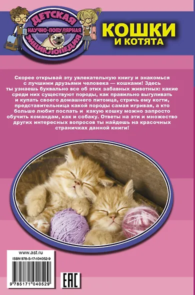 Кошки и котята - фото 2