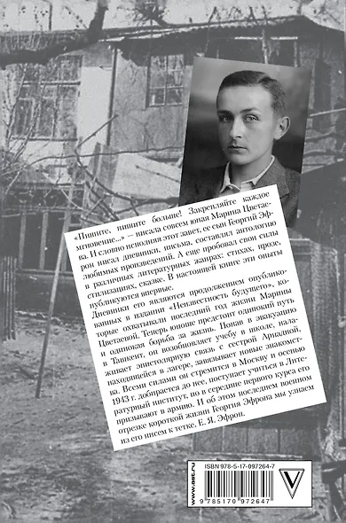 Записки парижанина. Дневники, письма, литературные опыты сына Марины Цветаевой - фото 2