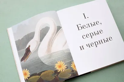 Цвет в природе. Коллекция красок окружающего мира - фото 12