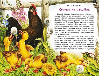 Рассказы о природе - фото 9