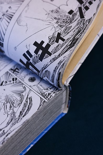 Ван-Пис. Книга 25 (Том 73, 74, 75) - Я никогда тебя не брошу (One Piece / Большой куш). Манга - фото 12
