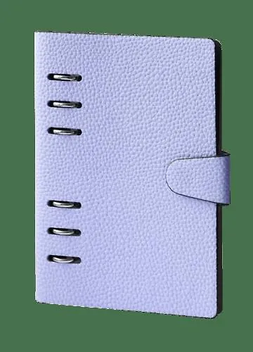 Тетрадь на кольцах в клетку InFolio, Study Dune, 80 листов, сиреневая - фото 1