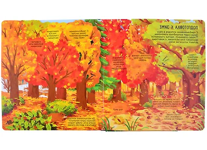 Секреты леса. Более 90 секретных створок - фото 5