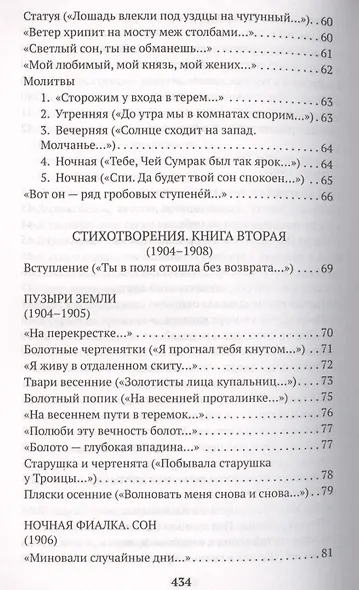 Незнакомка. Двенадцать - фото 11