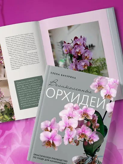 Великолепные орхидеи. Практичное руководство по уходу для начинающих - фото 7